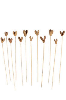 12li Benzo Tropic Fruit Kuru Çiçek Naturel - 2