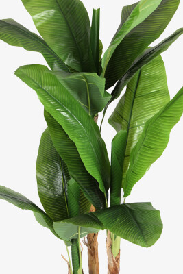 19 Yapraklı Gri Metal Saksıda Yapay Muz Ağacı 240 cm - 3