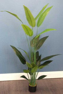 24 Yapraklı Yapay Starliçe Ağacı 155 cm - 3