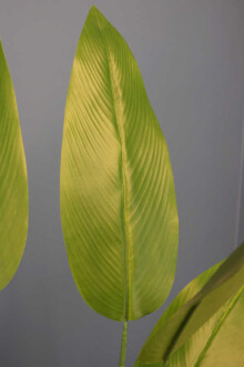 24 Yapraklı Yapay Starliçe Ağacı 155 cm - 4