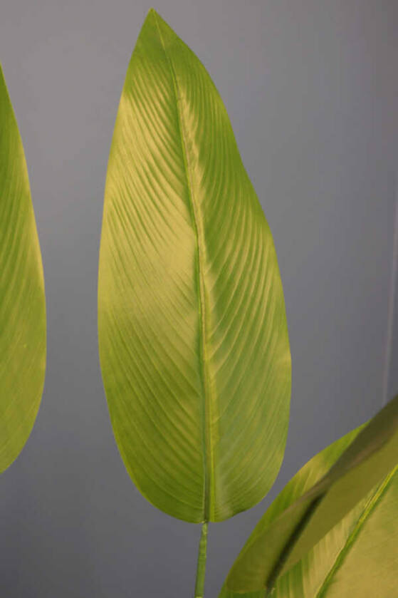 24 Yapraklı Yapay Starliçe Ağacı 155 cm - 4