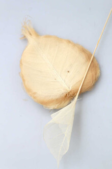 40l Paket Kurutulmuş Skeleton Yaprağı beyaz - Yapay Çiçek Sitesi