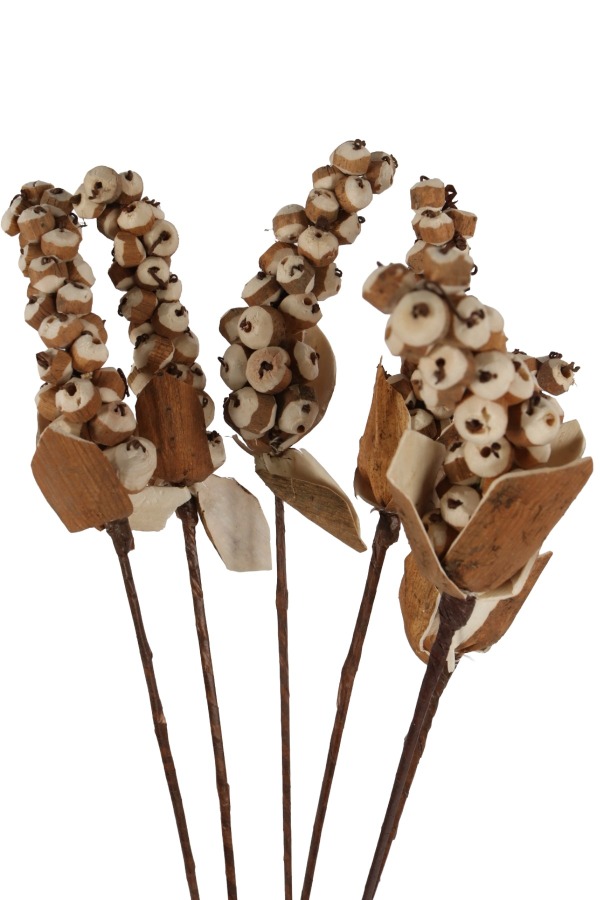 5 Adet Sholu Berries 70 cm - 2