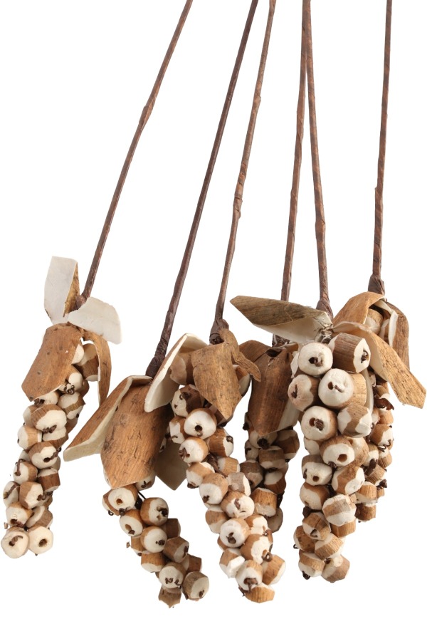 5 Adet Sholu Berries 70 cm - 3