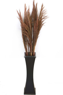 50 cm Siyah Ahşap Vazoda 100 cm Kızıl Pampas (Dökülmez) - Yapay Çiçek Sitesi