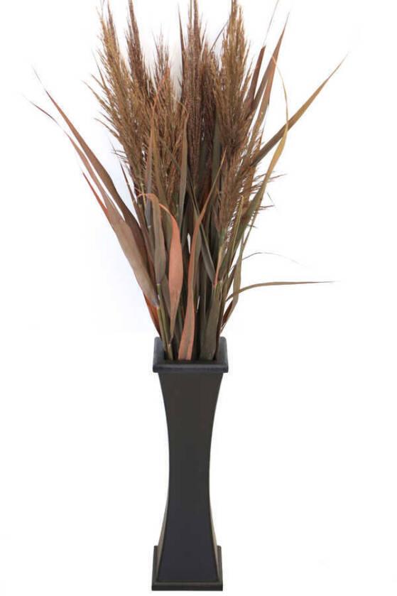 50 cm Siyah Ahşap Vazoda 100 cm Yapraklı Kızıl Pampas (Dökülmez) - 1