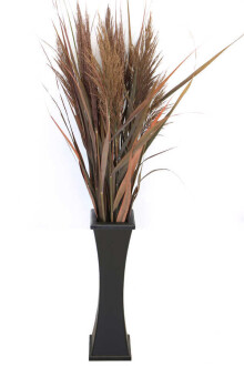 50 cm Siyah Ahşap Vazoda 100 cm Yapraklı Kızıl Pampas (Dökülmez) - 2