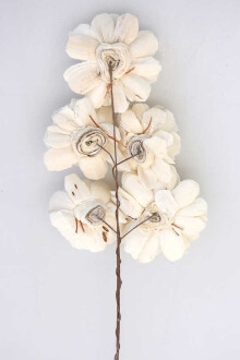 5li Shola Belary Gül Demeti - 3