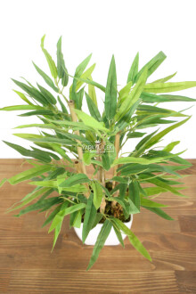 6 Gövdeli Mini Yapay Bambu Ağacı (Beyaz Melamin Saksıda) - 3