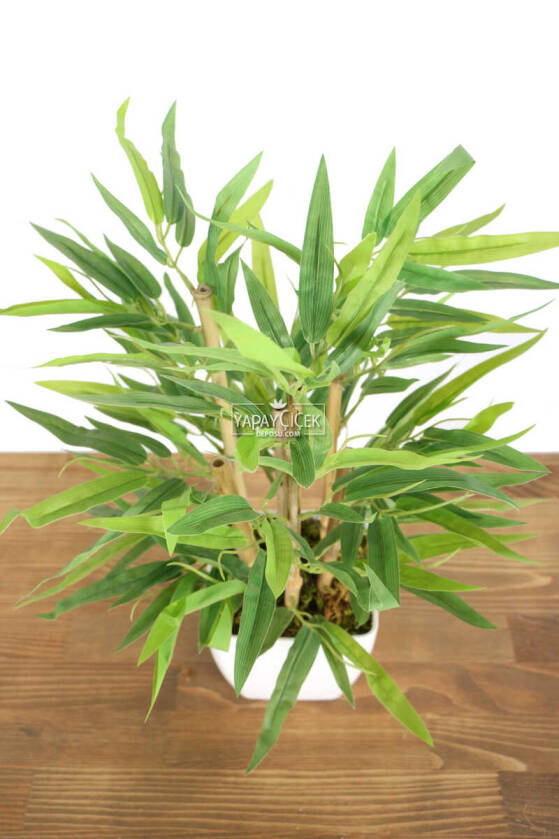 6 Gövdeli Mini Yapay Bambu Ağacı (Beyaz Melamin Saksıda) - 3