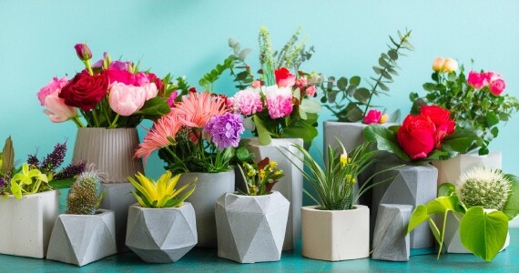 Beton Saksılı Çiçekler