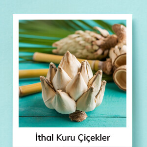 İthal Kuru Çiçekler