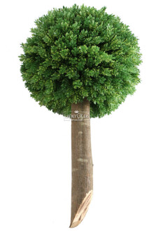 Ağaç Sap Takılı Dekoratif Lüx Şimşir Top Yeşil - Yapay Çiçek Sitesi