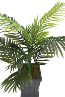 Ahşap Gri Saksıda 10 Yapraklı Yapay Areka Ağacı 135 cm - 3