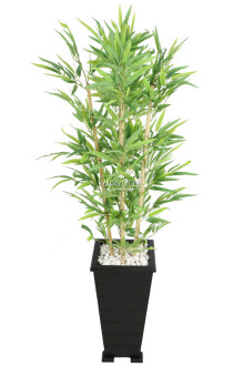 Ahşap Konik Saksılı Bambu Ağacı 150 cm - 2