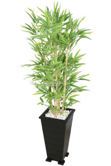 Ahşap Konik Saksılı Bambu Ağacı 150 cm - 3