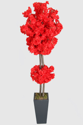 Ahşap Saksıda Yapay Bahar Dalı Ağacı Kırmızı 150 cm - 3