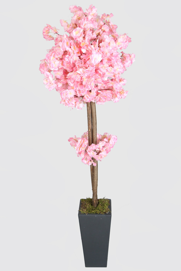 Ahşap Saksıda Yapay Bahar Dalı Ağacı Pembe 150 cm - 1