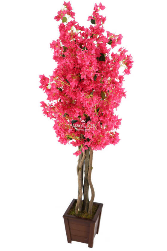 Ahşap Saksıda Yapay Begonvil Ağacı 185 cm Fuşya - 1