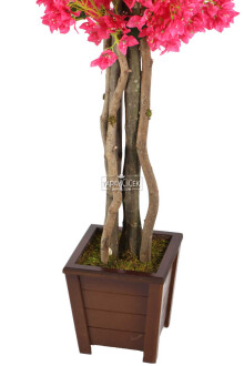 Ahşap Saksıda Yapay Begonvil Ağacı 185 cm Fuşya - 3
