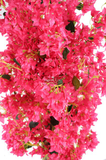 Ahşap Saksıda Yapay Begonvil Ağacı 185 cm Fuşya - 5