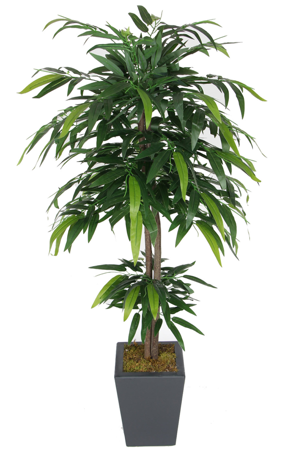 Ahşap Saksıda Yapay Mango Ağacı 150 cm - 1