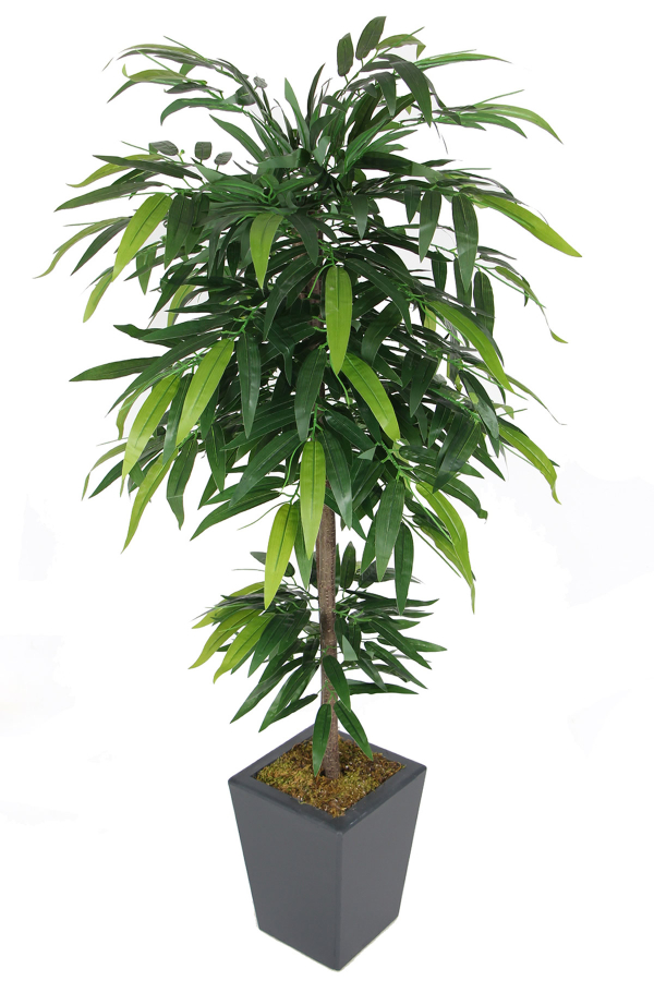 Ahşap Saksıda Yapay Mango Ağacı 150 cm - 2