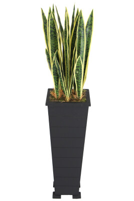 Ahşap Saksıda Yapay Paşa Kılıcı Sansevieria Ağacı 125 cm - Yapay Çiçek Sitesi