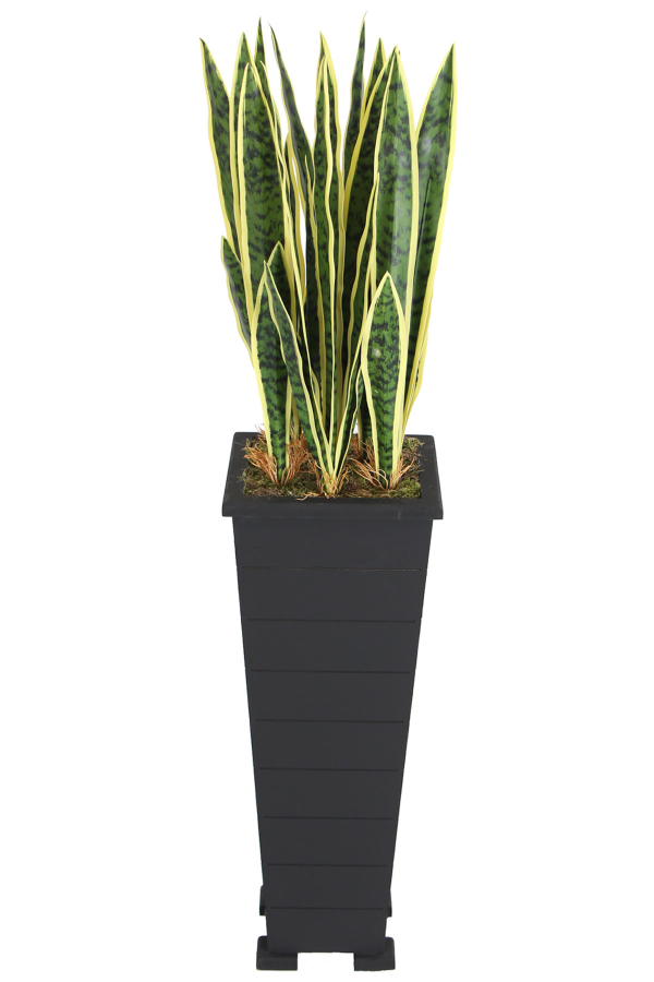Ahşap Saksıda Yapay Paşa Kılıcı Sansevieria Ağacı 125 cm - 1