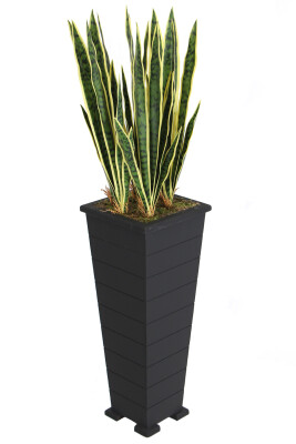 Ahşap Saksıda Yapay Paşa Kılıcı Sansevieria Ağacı 125 cm - 3