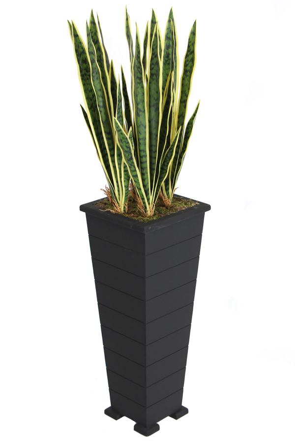 Ahşap Saksıda Yapay Paşa Kılıcı Sansevieria Ağacı 125 cm - 3