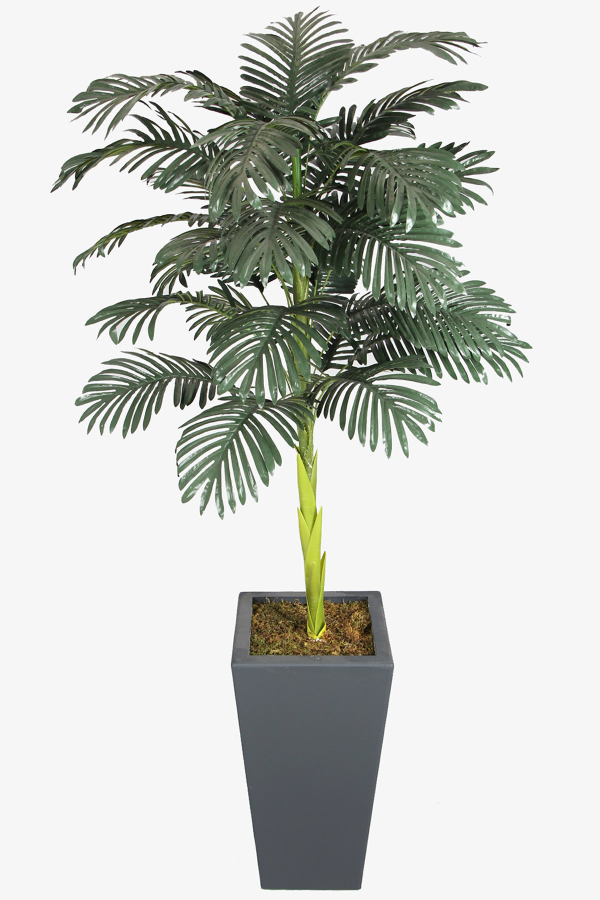 Antrasit Saksıda Tek Gövdeli Yapay Areka Ağacı 180 cm (25 Yapraklı) - 1