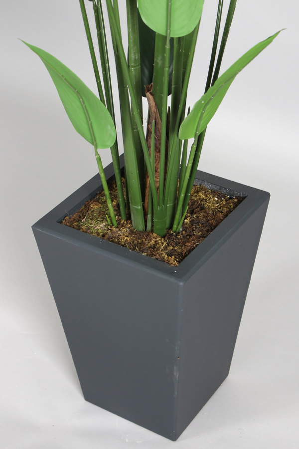 Antrasit Saksıda Yapay 22 Yapraklı Starliçe Ağacı 200 cm - 3