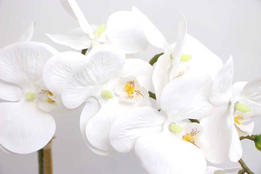 Beton Geometrik Saksıda Tekli Yapay Islak Orkide Beyaz - 3