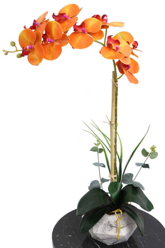 Beton Geometrik Saksıda Tekli Yapay Islak Orkide Orange - 1