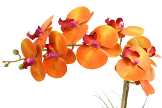 Beton Geometrik Saksıda Tekli Yapay Islak Orkide Orange - 3