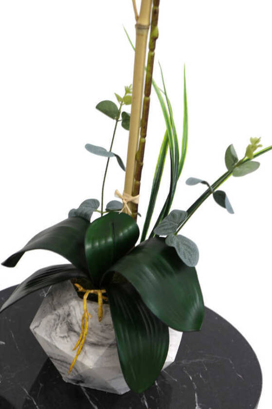 Beton Geometrik Saksıda Tekli Yapay Islak Orkide Orange - 5