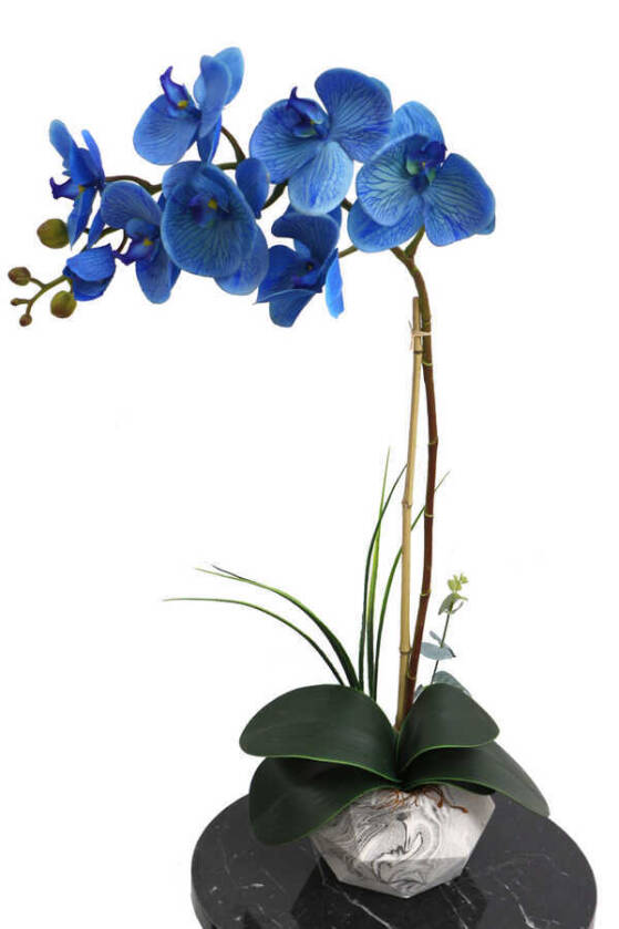 Beton Geometrik Saksıda Yapay Exclusive Islak Orkide 70 cm Mavi - 1