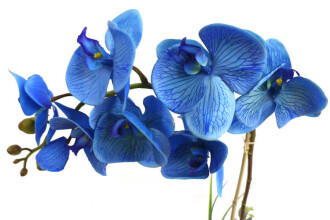 Beton Geometrik Saksıda Yapay Exclusive Islak Orkide 70 cm Mavi - 2