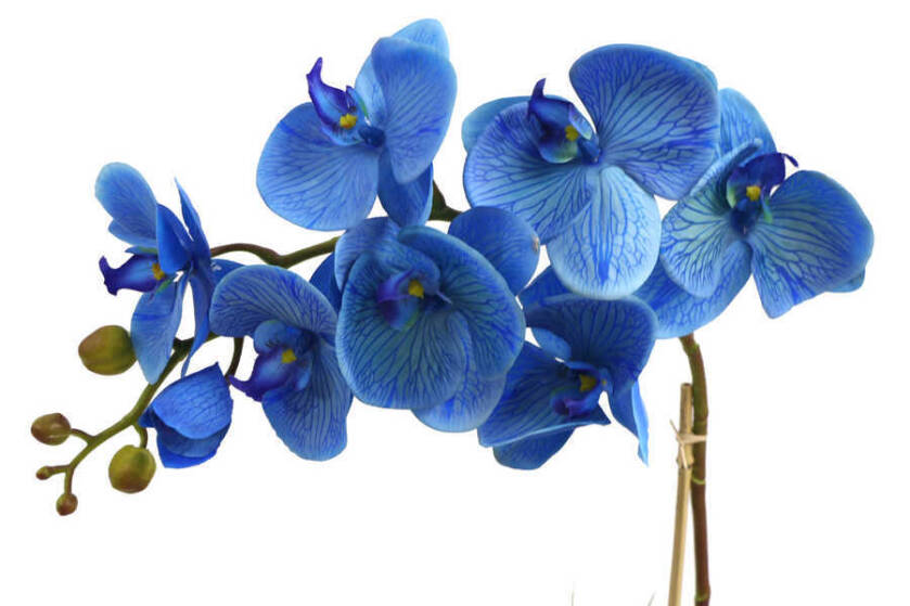 Beton Geometrik Saksıda Yapay Exclusive Islak Orkide 70 cm Mavi - 3