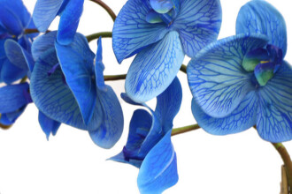 Beton Geometrik Saksıda Yapay Exclusive Islak Orkide 70 cm Mavi - 4