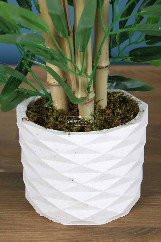 Beton Saksıda Bambu Ağacı Koyu Yeşil 110 cm - 2