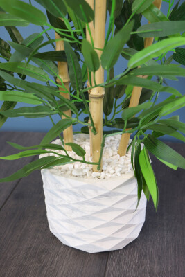Beton Saksıda Bambu Ağacı Koyu Yeşil 65 cm (Taşlı Model) - 2