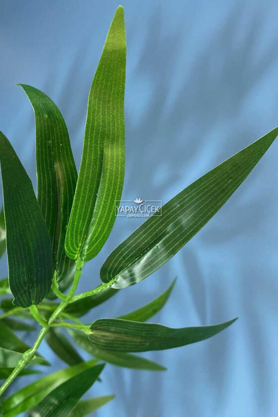 Beton Saksıda Bambu Ağacı Koyu Yeşil 65 cm (Yosunlu Model) - 3