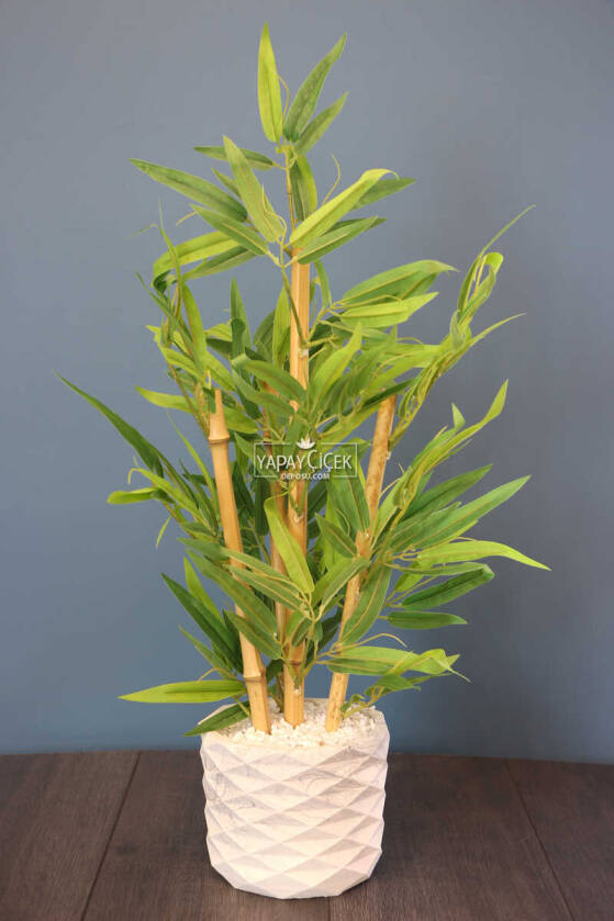 Beton Saksıda Lüx Bambu Ağacı Açık Yeşil 65 cm (Taşlı Model) - 1