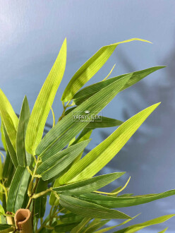 Beton Saksıda Lüx Bambu Ağacı Açık Yeşil 65 cm (Yosunlu Model) - 3