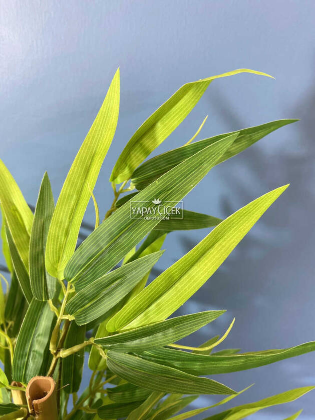 Beton Saksıda Lüx Bambu Ağacı Açık Yeşil 65 cm (Yosunlu Model) - 3