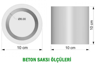 Beton Saksıda Mini Limon Ağacı 30 cm - 2
