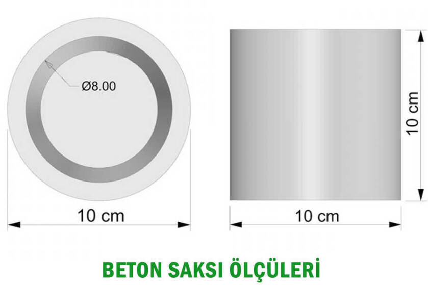 Beton Saksıda Mini Limon Ağacı 30 cm - 2