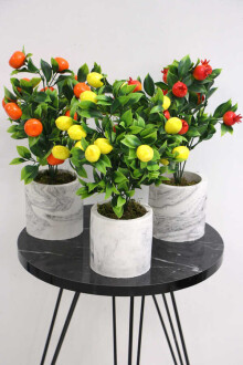 Beton Saksıda Mini Mandalina Limon ve Nar Ağacı 3lü Set - Yapay Çiçek Sitesi